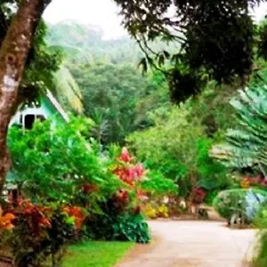 https://coffeeriver-cottages.comcaribbean.com